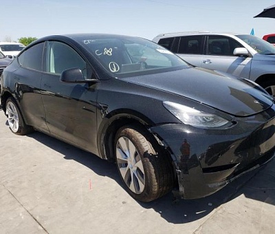 TESLA MODEL Y 2020