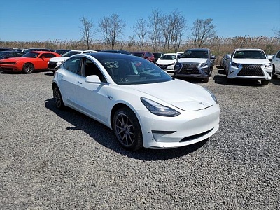 TESLA MODEL 3 2019